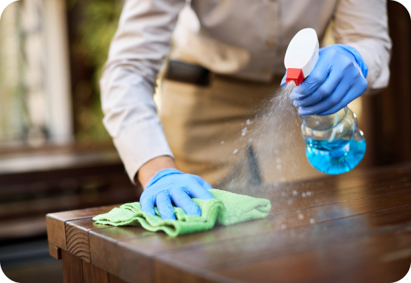 Professional house cleaning services in Jacksonville, FL